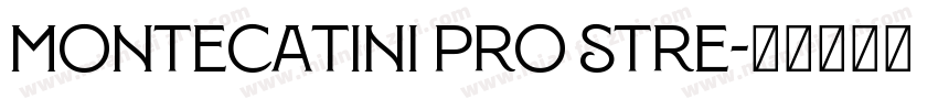 Montecatini Pro Stre字体转换